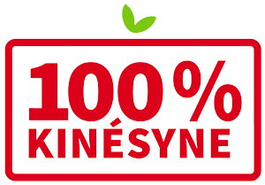 Logo 100% Kinésyne
